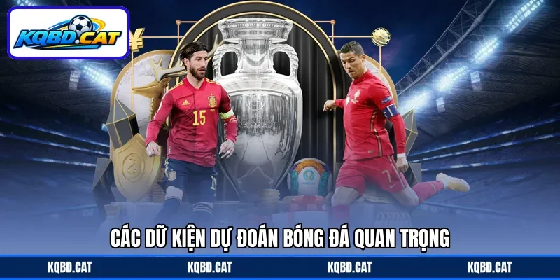 Các dữ kiện dự đoán bóng đá quan trọng