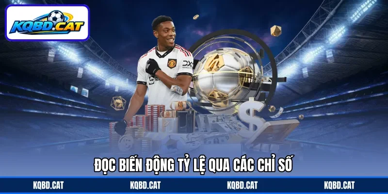 Đọc biến động tỷ lệ qua các chỉ số