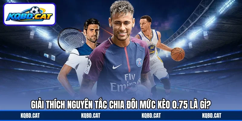 Giải thích nguyên tắc chia đôi mức kèo 0.75 là gì?